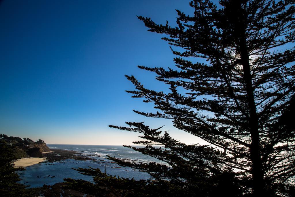 Seal Cove Inn Moss Beach Экстерьер фото