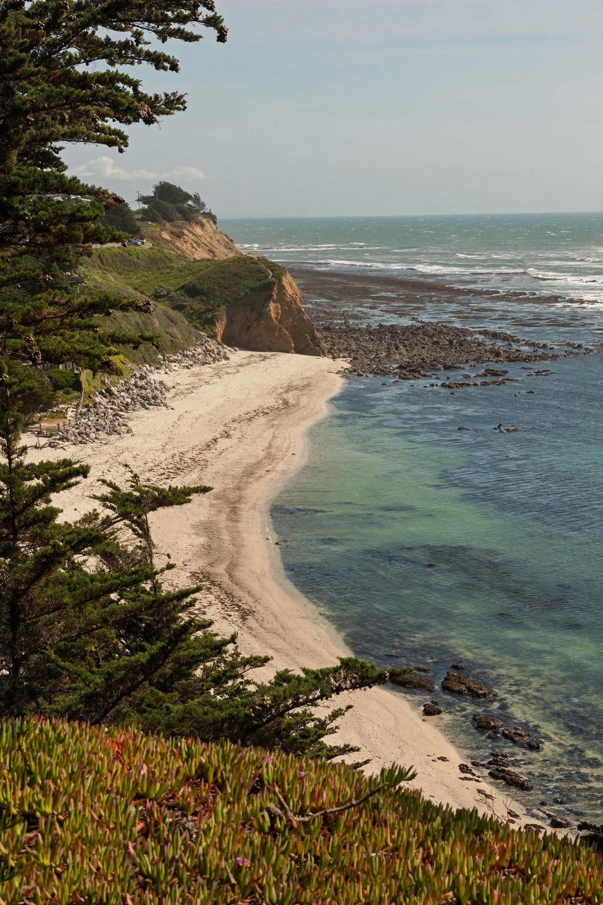Seal Cove Inn Moss Beach Экстерьер фото