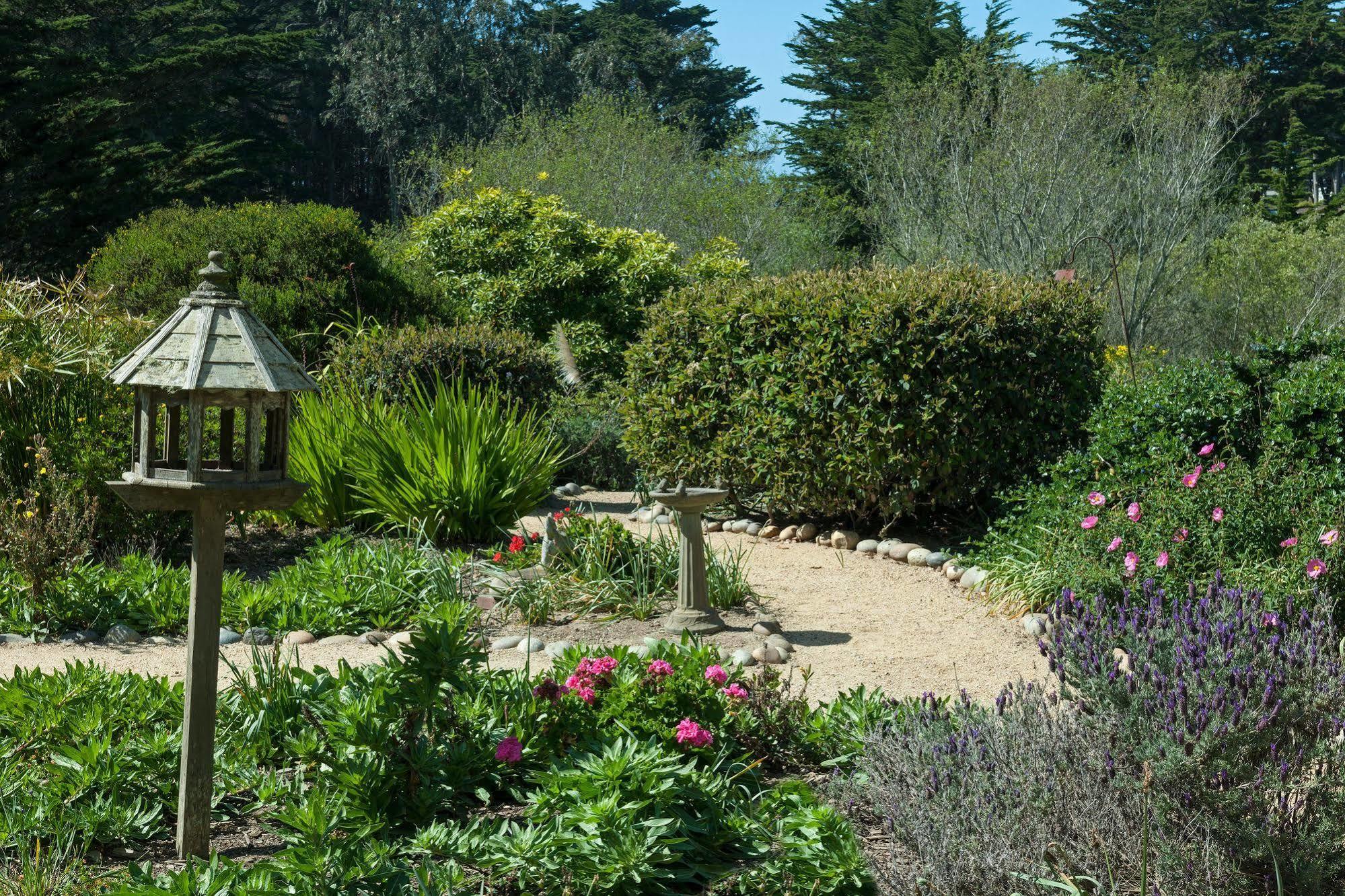 Seal Cove Inn Moss Beach Экстерьер фото