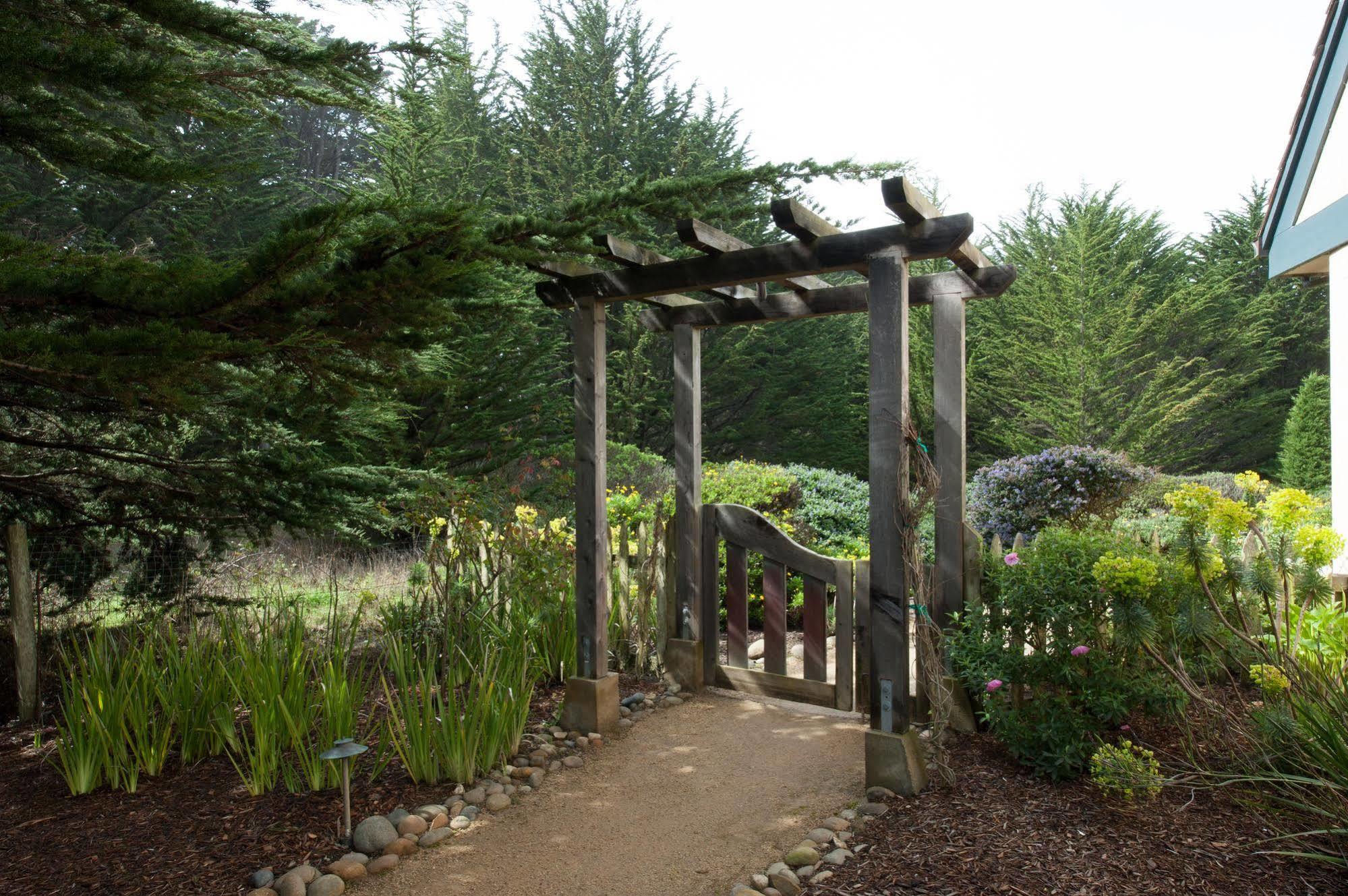 Seal Cove Inn Moss Beach Экстерьер фото